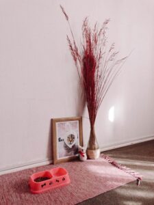 Post: How to set up a pet-friendly home corner